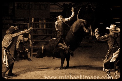 "bucking bull 2"
buffalo chip rodeo, cave creek, az.